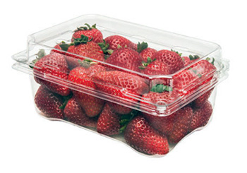 Punnets Packaging for Strawberry